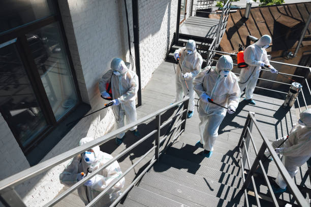 Mold Remediation for Vacation Homes in Griswold, IA
