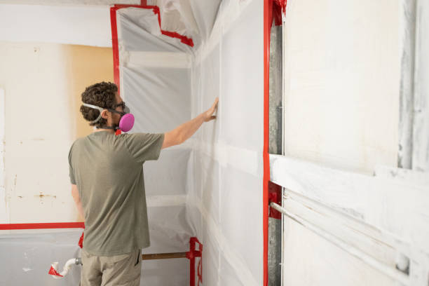 Best Mold Documentation for Insurance Claims  in Griswold, IA