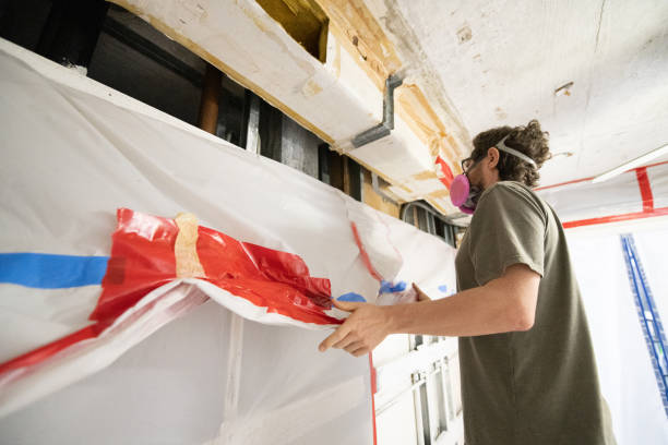 Best Industrial Mold Remediation  in Griswold, IA