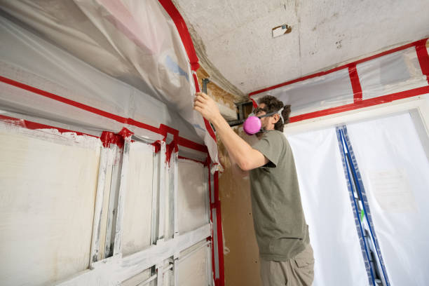 Best HVAC Mold Inspection and Cleaning  in Griswold, IA