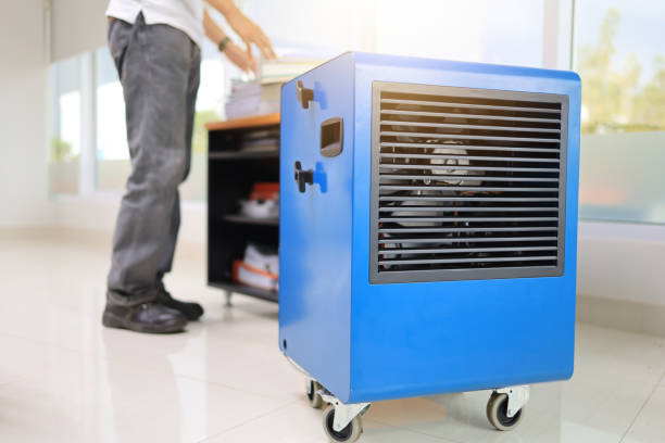 Best Environmental Consulting for Mold Prevention  in Griswold, IA