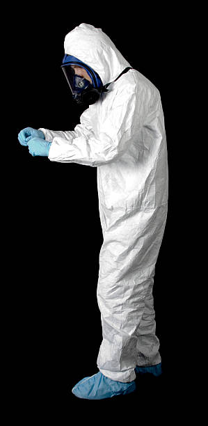 Best Mold Damage Restoration  in Griswold, IA