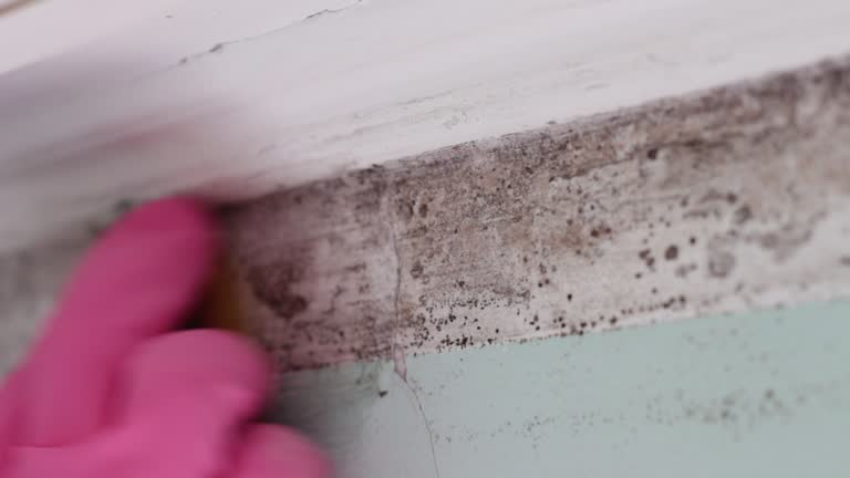 Best Residential Mold Inspection & Testing  in Griswold, IA